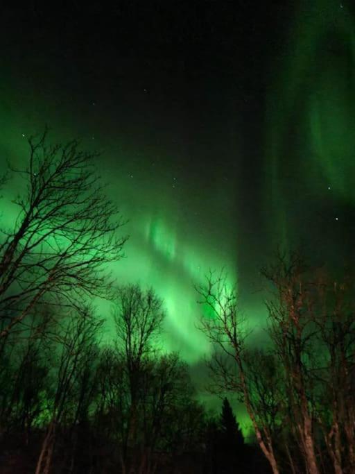 Tromso Stunning Luxury Apart A Larseng Extérieur photo