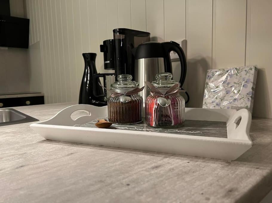 Tromso Stunning Luxury Apart A Larseng Extérieur photo