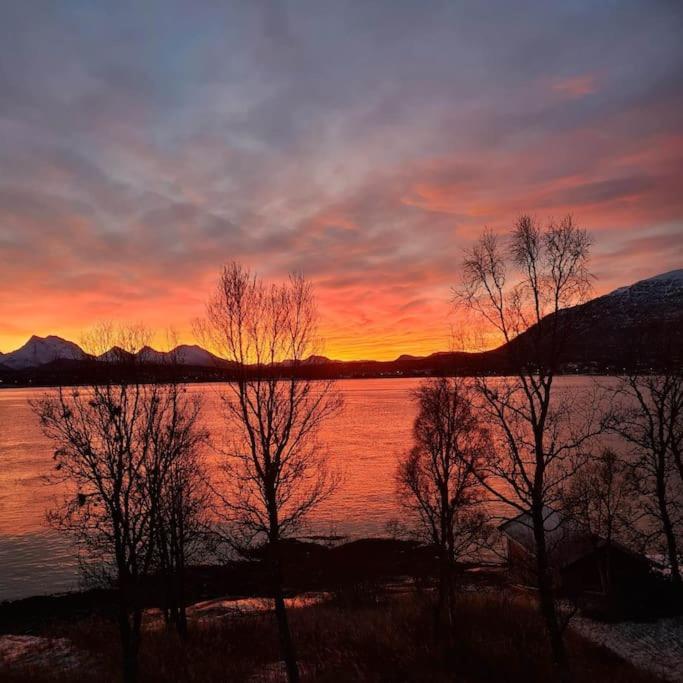 Tromso Stunning Luxury Apart A Larseng Extérieur photo